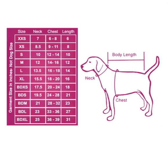 NEW Hip Doggie Saints and Sinners Pink Thermal - Picture 6 of 6